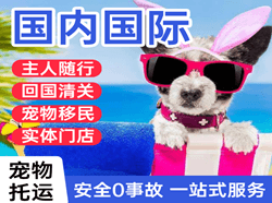 连云港花果山机场快运国际宠物托运 【国